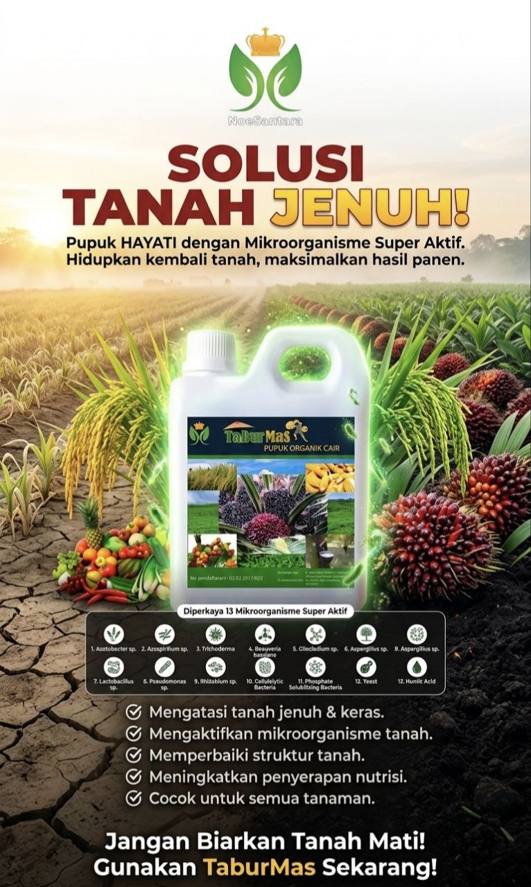 PHC TaburMas NoeSantara